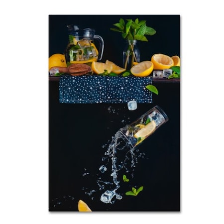 Dina Belenko 'Lemonade From The Top Shelf' Canvas Art,30x47